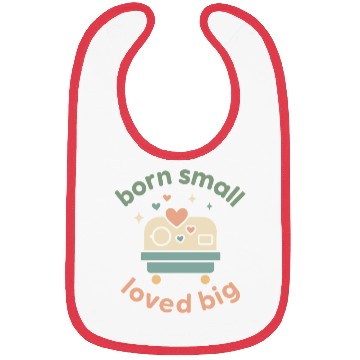 Discover NICU Sibling Preemie Big Brother Big Sister Bibs