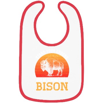 Discover Bison - Retro Sunset Bibs