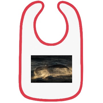Discover Humpback Whale Tail Bibs