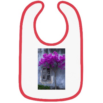 Discover Vibrant Blossom Against Rustic Wall Bibs