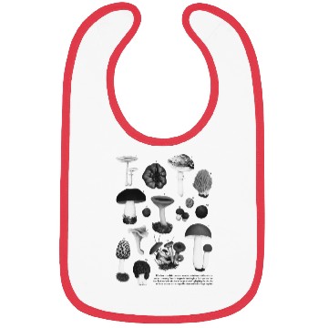 Discover Forest Gems – Scientific Wild Mushroom Chart Bibs