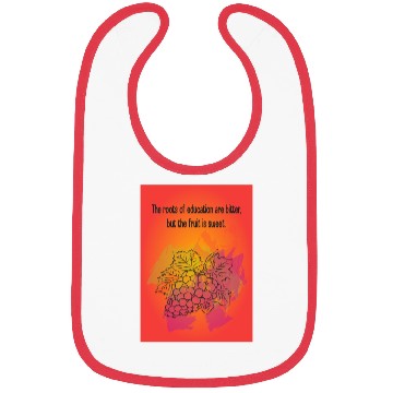Discover Education and Fruit Illustration Bibs