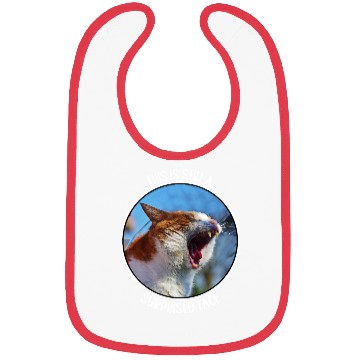Discover This is Still A Surprised Face Funny Cute Cat Meme Bibs