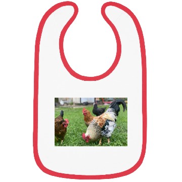 Discover Farmyard Rooster and Chickens Illustration Bibs