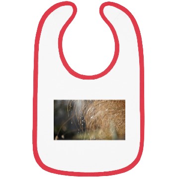 Discover Tiny Dew Drops on Delicate Golden Grass Bibs