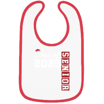 Discover Class Of 2025 Senior Glitter Bibs
