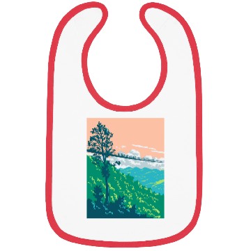 Discover Great Smoky Mountains National Park in Gatlinburg  Bibs