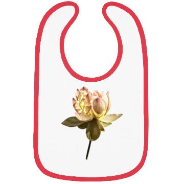 Discover Delicate Pink Lotus Bibs