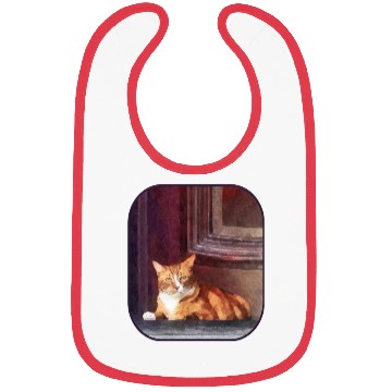 Discover Orange Tabby in Doorway Bibs