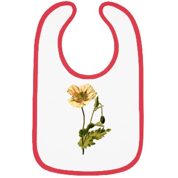 Discover Opium poppy (detailed) Bibs