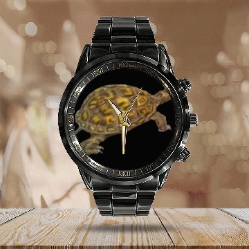 Discover Box Turtle Calendar Steel Band Watch