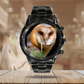 Discover Owl Pet Barn Owl Bird Ornithology Baseball Tees Calendar Steel Band Watch