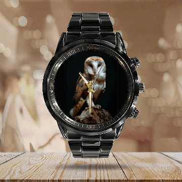 Discover Owl Pet Barn Owls Barn Owl 2 Calendar Steel Band Watch