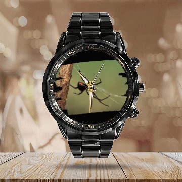 Discover Lacrosse Gift Black Widow Spider 25 Calendar Steel Band Watch