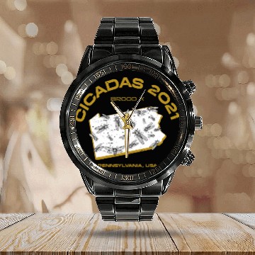 Discover Pennsylvania Cicada Invasion 2 Calendar Steel Band Watch