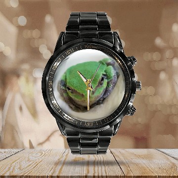Discover Life In a Bubble Collection - Frog Eyes Looking 4U Calendar Steel Band Watch
