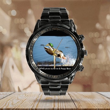 Discover Men's T / Mallard Duck Calendar Steel Band Watch