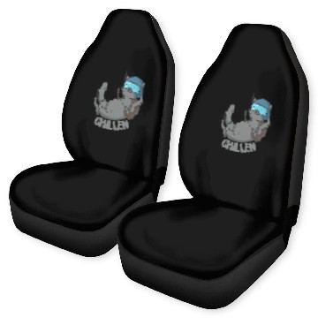 Discover Cat Paws Chillin Cat Skydiving Car Seat Covers