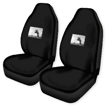 Discover Beetlejuice Headlines Car Seat Covers