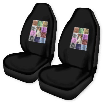 Discover Eras Tour Poster Baseball Tees Car Seat Covers