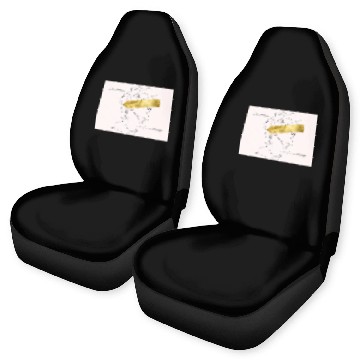 Discover Gold Rush Tayl0r Swift Baseball Tees Car Seat Covers