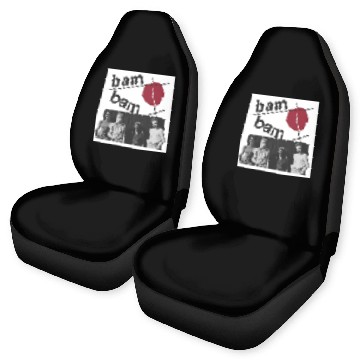 Discover bam bam Car Seat Covers