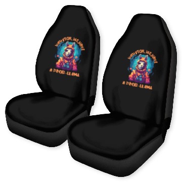 Discover Llama Pet HOUSTON WE HAVE A PROBLLAMA Astronaut Zip Car Seat Covers