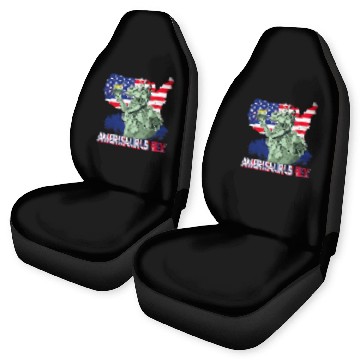 Discover Dinosaur Pet Amerisaurus T rexs American Flag Independence Day Merica Car Seat Covers
