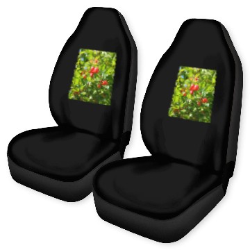 Discover Pomegranate Closed Red Flower Bud Photography Zip Car Seat Covers