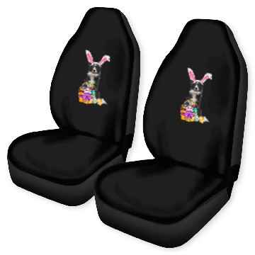 Discover Easter Egg Funny Border Collie Easter Zip Car Seat Covers