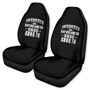 Discover Introverted Kung Fu Lovers Car Seat Covers