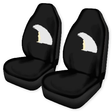 Discover Polar bear Car Seat Covers