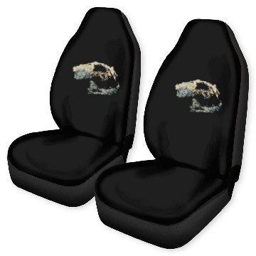 Discover cat skull Car Seat Covers