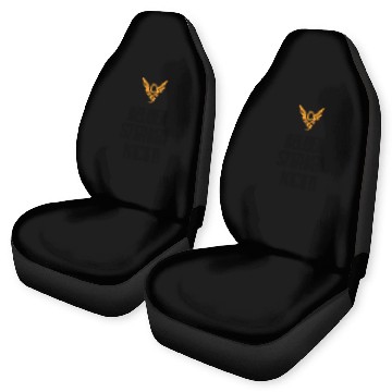 Discover Overwatch Mercy Car Seat Covers