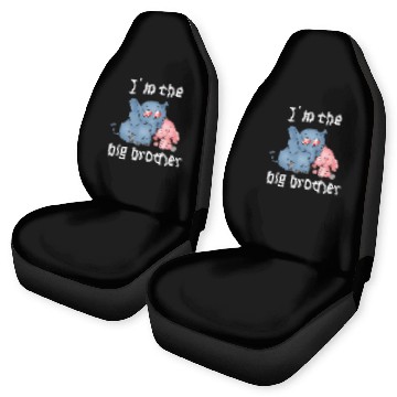 Discover I'm the Big Brother Car Seat Covers