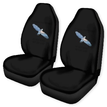 Discover Financial Independent Stocks Eagle Vintage Freedom Car Seat Covers
