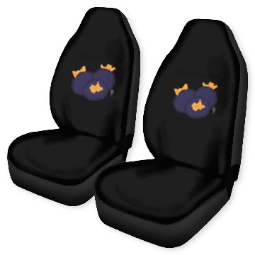 Discover Blueberry Car Seat Covers