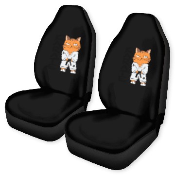 Discover Karate Cat Car Seat Covers