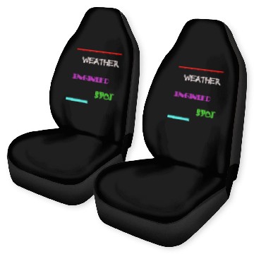 Discover Weather Engineer Spot Car Seat Covers