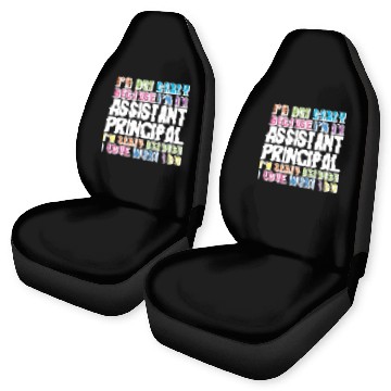 Discover Assistant Principal Car Seat Covers