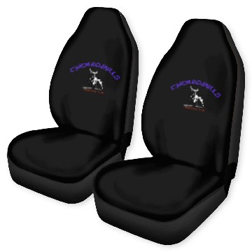 Discover CHICAGO BULLS Car Seat Covers