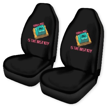 Discover Software Engineer Computer Key Programming Car Seat Covers