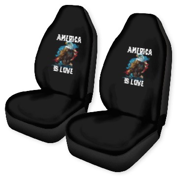 Discover America Is Love American Bald Eagle 4th Of July Car Seat Covers