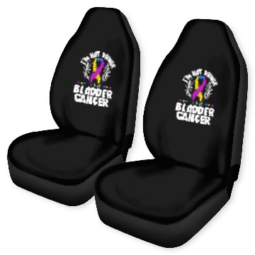 Discover Bladder Cancer Warrior Bladder Cancer Awareness Car Seat Covers