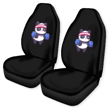 Discover TEDDY BEAR TRAINING GYM Car Seat Covers