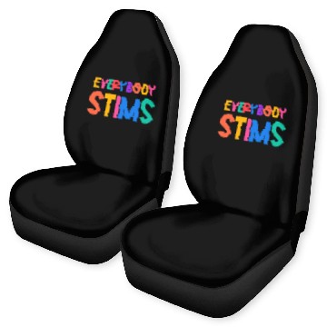 Discover Everybody Stims Autism Special Ed Teacher Social Car Seat Covers