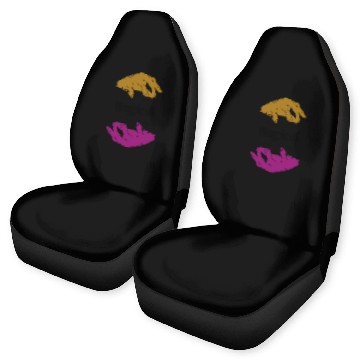 Discover MAGICAL , magic Car Seat Covers