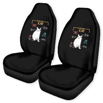 Discover Funny Weird Cat Meme Smiling Anatomy of A Cat Car Seat Covers