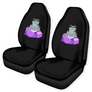 Discover Frog Crystal Amethyst Gemstone For Toad Owners Car Seat Covers