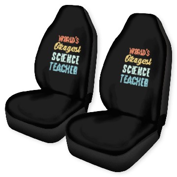 Discover World'S Okayest Science Teacher Physics Car Seat Covers
